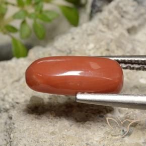 Coral Roja Anaranjada natural de 2.39 ct, Ovalada, Opaco