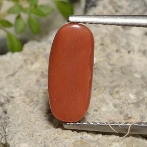 Coral Roja Anaranjada natural de 2.39 ct, Ovalada, Opaco