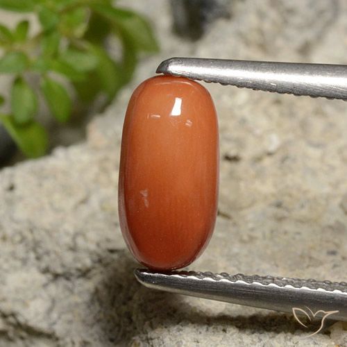 1.81ct Natural Naranja medio Coral, Ovalada, Opaco