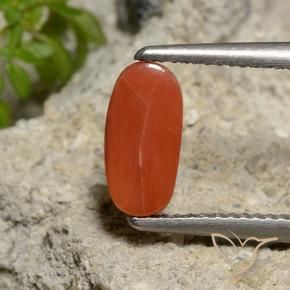 Coral Naranja medio natural de 1.81 ct, Ovalada, Opaco