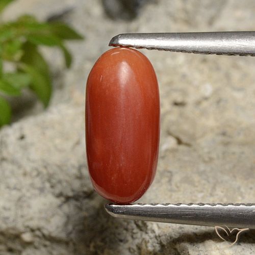 1.85ct Natural Naranja medio Coral, Ovalada, Opaco