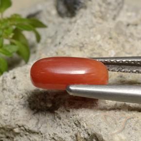 Coral Naranja medio natural de 1.85 ct, Ovalada, Opaco