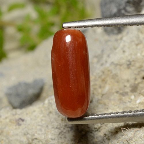 1.81ct Natural Rojo fuego Coral, Ovalada, Opaco