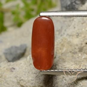 Coral Rojo fuego natural de 1.81 ct, Ovalada, Opaco