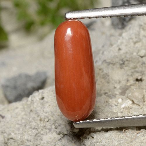1.91ct Natural Rojo medio Coral, Ovalada, Opaco