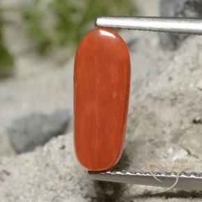 Coral Rojo medio natural de 1.91 ct, Ovalada, Opaco