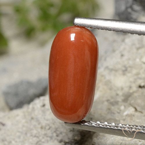 2.01ct Natural Roja Anaranjada Coral, Ovalada, Opaco