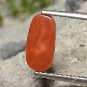 Coral Roja Anaranjada natural de 2.01 ct, Ovalada, Opaco