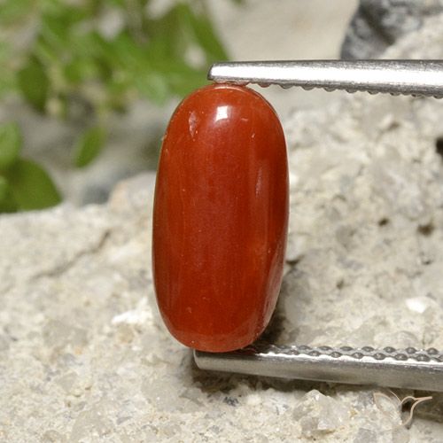 1.86ct Natural Rojo fuego Coral, Ovalada, Opaco