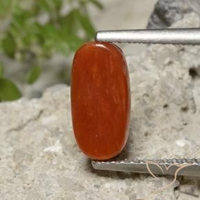 Coral Rojo fuego natural de 1.86 ct, Ovalada, Opaco