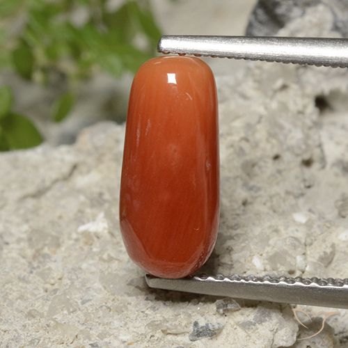2.23ct Natural Naranja fuego Coral, Ovalada, Opaco, Photo A