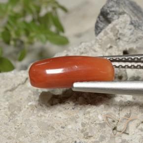 Coral Naranja fuego natural de 2.23 ct, Ovalada, Opaco