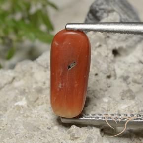 Coral Naranja fuego natural de 2.23 ct, Ovalada, Opaco