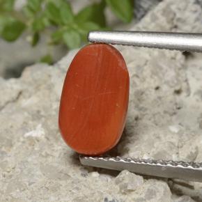 Coral Naranja medio natural de 1.70 ct, Corte Óvalo, Opaco