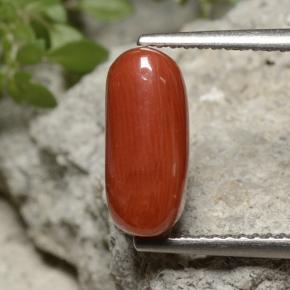 Coral rojo natural de 2,55 ct, corte óvalo, opaco