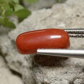 Coral rojo natural de 2,55 ct, corte óvalo, opaco