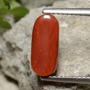 Coral rojo natural de 2,55 ct, corte óvalo, opaco