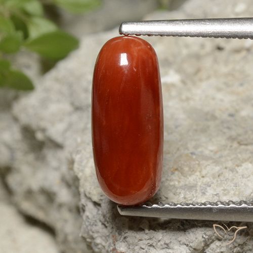 Coral Rojo fuego natural de 2.07 ct, Corte Óvalo, Opaco