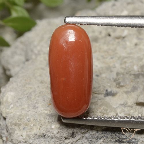 2.26ct Natural Naranja fuego Coral, Ovalada, Opaco