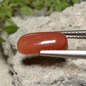 Coral Naranja fuego natural de 2.26 ct, Ovalada, Opaco