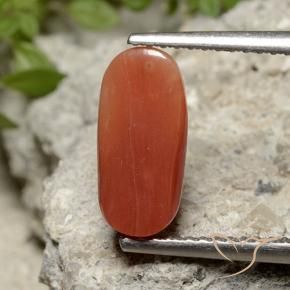 Coral Naranja fuego natural de 2.26 ct, Ovalada, Opaco