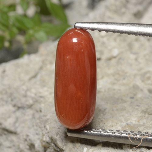 2.15ct Natural Naranja medio Coral, Ovalada, Opaco