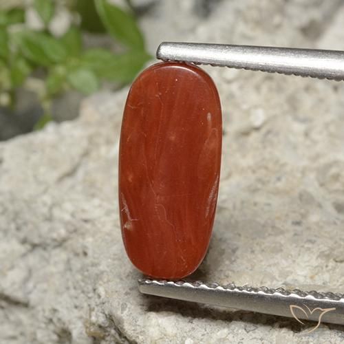 Coral Tono rojo fuego natural de 1.95 ct, Ovalada, Opaco