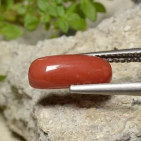 Coral Naranja medio natural de 2.10 ct, Ovalada, Opaco
