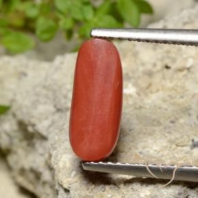 Coral Naranja medio natural de 2.10 ct, Ovalada, Opaco