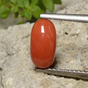 Coral naranja natural de 1,40 ct, corte óvalo, opaco