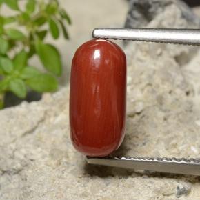 Coral rojo natural de 2,51 ct, corte óvalo, opaco
