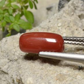 Coral rojo natural de 2,51 ct, corte óvalo, opaco