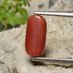 Coral rojo natural de 2,51 ct, corte óvalo, opaco