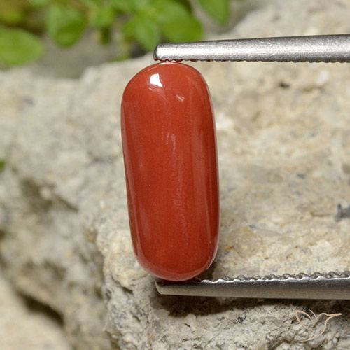 2.06ct Natural Roja Anaranjada Coral, Ovalada, Opaco, Photo A