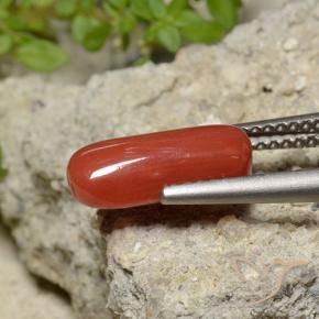 Coral Roja Anaranjada natural de 2.06 ct, Ovalada, Opaco