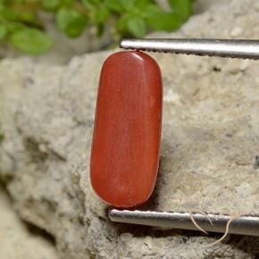 Coral Roja Anaranjada natural de 2.06 ct, Ovalada, Opaco