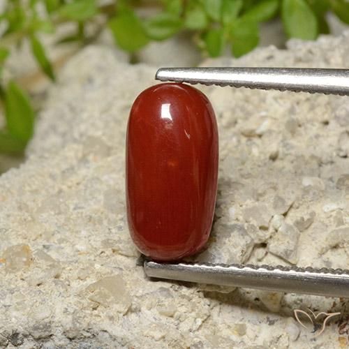 2.06ct Natural Rojo fuego Coral, Ovalada, Opaco