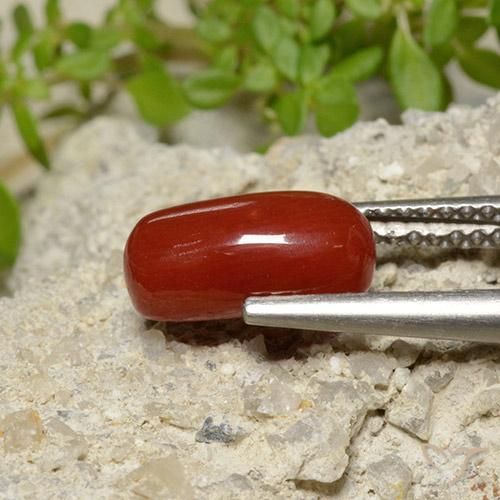 Coral Rojo fuego natural de 2.06 ct, Ovalada, Opaco