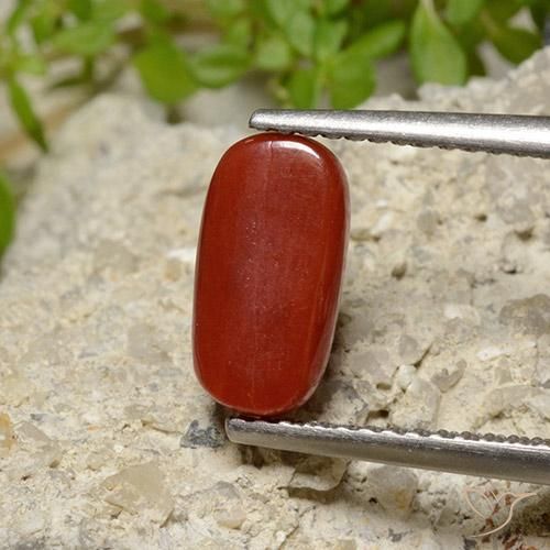 Coral Rojo fuego natural de 2.06 ct, Ovalada, Opaco