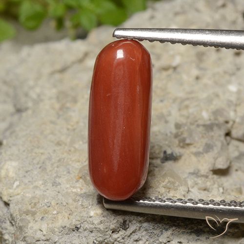 2.26ct Natural Rojo medio Coral, Ovalada, Opaco