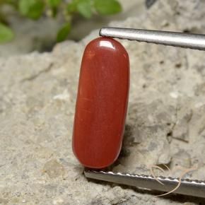 Coral Rojo medio natural de 2.26 ct, Ovalada, Opaco
