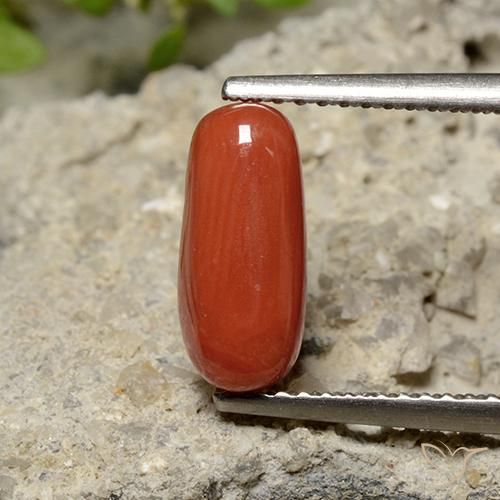 1.79ct Natural Roja Anaranjada Coral, Ovalada, Opaco