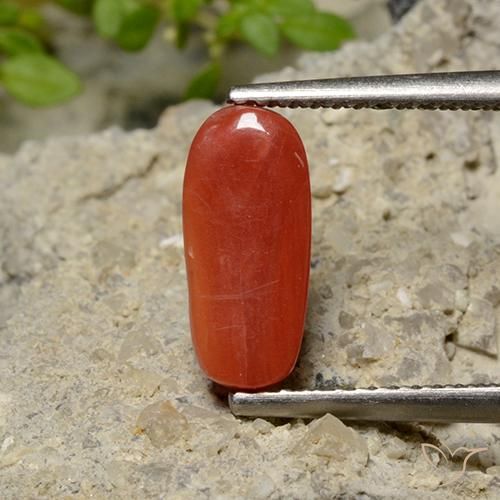 Coral Roja Anaranjada natural de 1.79 ct, Ovalada, Opaco