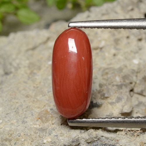 2.04ct Natural Rojo medio Coral, Ovalada, Opaco, Photo A