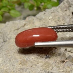 Coral Rojo medio natural de 2.04 ct, Ovalada, Opaco