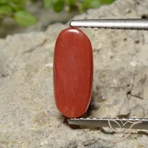 Coral Rojo medio natural de 2.04 ct, Ovalada, Opaco