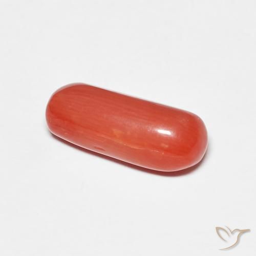 Coral Roja Anaranjada natural de 2.25 ct, Ovalada, Opaco