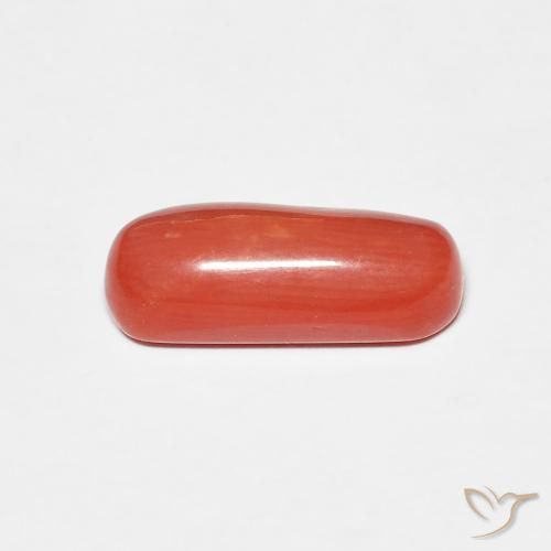 Coral Roja Anaranjada natural de 2.25 ct, Ovalada, Opaco