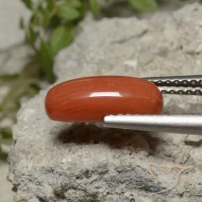 Coral Rojo claro natural de 2.11 ct, Ovalada, Opaco