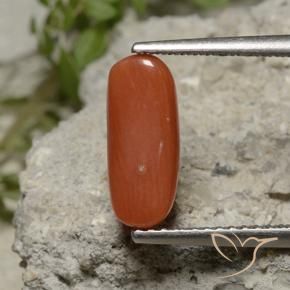 Coral Rojo claro natural de 2.11 ct, Ovalada, Opaco